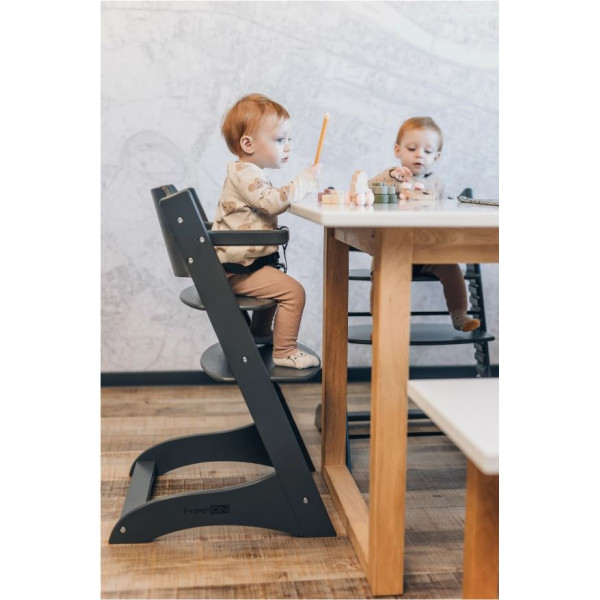 Стілець для годування дитини FreeON LUNCH Grey