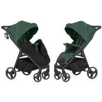 Прогулянкова коляска CARRELLO Bravo CRL-8512 BF Spring Green /1/