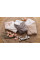 Конверт-ковдра для дитини 2 в 1 Bubaba by FreeON SPRING RHAPSODY WHITE 65х65 см